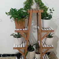 استند گل|گل و گیاه طبیعی|ایلام, |دیوار