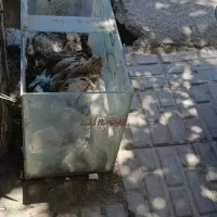 اگواریوم ماهی