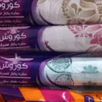 سفره یکبار مصرف