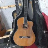 گیتار در حد کنسرت نوازی دارای پیکاپ حرفه ای