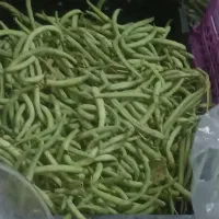 فروش لوبیا سبز و تره بار درمنزل