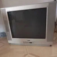 تلویزیون