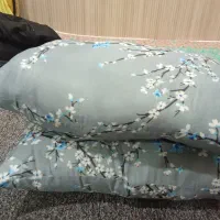 دو تا بالشت