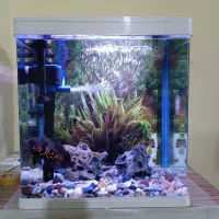 آکواریوم k390|ماهی|اهواز, پردیس دو|دیوار