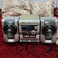 ضبط خانگی سالم