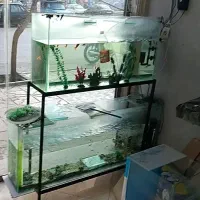 آکواریوم و پایه ی آن..