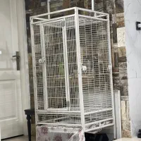 قفس کاسکو/ کاکادو