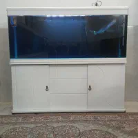 اکواریوم دلسا k1500