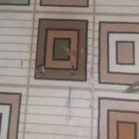 گلیم ۶ متری|گلیم، جاجیم، گبه|کرمانشاه, |دیوار