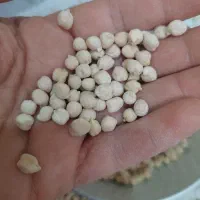 نخود محلی به شر ط پخت پزا