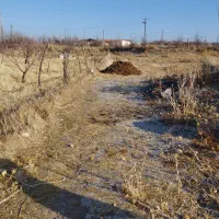 زمین ویلایی بندیزه تک درخت|فروش خانه و ویلا|اشترینان, |دیوار