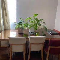 مبلمان ست با میز ناهار خوری|مبلمان خانگی و میز عسلی|تهران, مجیدیه|دیوار