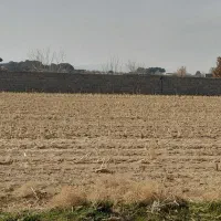 زمین-باغی-و-زراعی-با-خاک-مرغوب