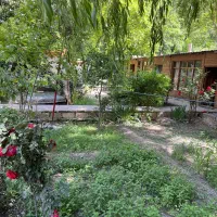 سوئیت ویلا اجاره ای اخلمد