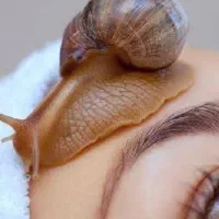 حلزون تراپی|آرایشی، بهداشتی، درمانی|اردبیل, |دیوار