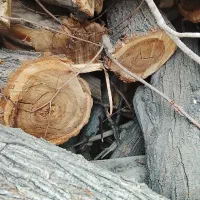 چوب وکنده