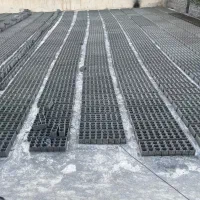 بلوک زن وارد