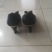 کیف و کفش مجلسی|کیف، کفش، کمربند|کرج, کرج نو|دیوار