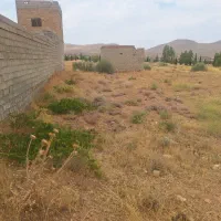 باغ انگور سر راه بردج فروش یا نعاوضه|فروش زمین و ملک کلنگی|شیراز, شهدای شهرک سعدی|دیوار