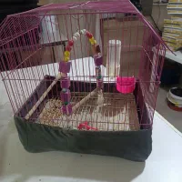 جا آجیلی|فروشگاه و مغازه|ساوه, |دیوار