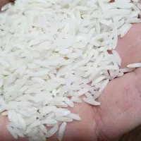 برنج هاشمی اورگانیک