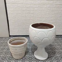 گلدون
