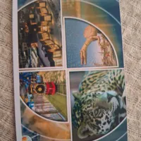 کارت شارژ گهر پارک تفریحی
