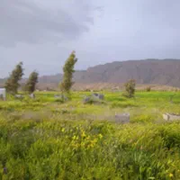 فروش زمین ۱۰۰۰ متری در روستای تربر جعفری|فروش زمین و ملک کلنگی|شیراز, داریون|دیوار