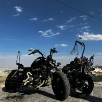 هیوسانگ آکوییلا/ بندا/ رگال رپتور
