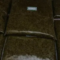 سبزی قرمه خانگی سرخ شده|خوردنی و آشامیدنی|تهران, تهرانپارس شرقی|دیوار