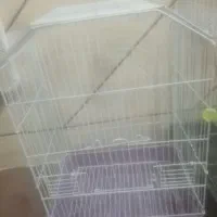 قفس پرنده