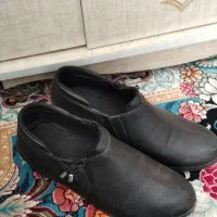 کفش مردانه وزنانه|کیف، کفش، کمربند|الشتر, |دیوار