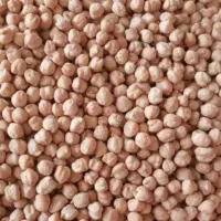 نخود خرمنی ۱۱۰