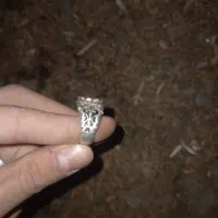 انگشتر نقره|جواهرات|بیرجند, |دیوار