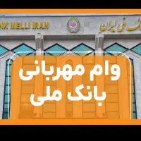 ضمانت وام میشم...