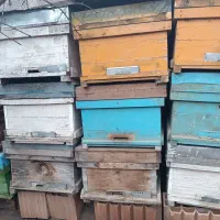 فروش فنس و کندو زنبور عسل|لوازم جانبی حیوانات|آق قلا, |دیوار