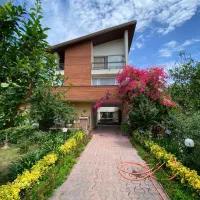 منشی حرفهای