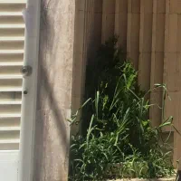 آپارتمان همکف