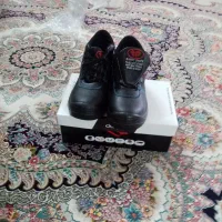 کفش کار نو 3 جفت|کیف، کفش، کمربند|نیشابور, خط کاشمر|دیوار