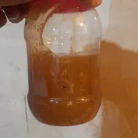 فروش عسل درجه یک کنار