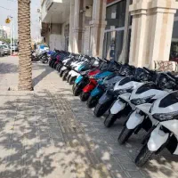 فروش محصول های کبیروساوین