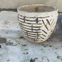 گلدان|گل و گیاه طبیعی|شاهین‌شهر, گرگاب|دیوار