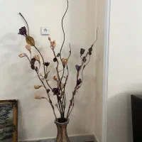 فروش فقط امروز