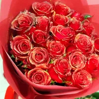 پخش رز هلندی سوپر مستقیم از گلخانه به بازار|گل و گیاه طبیعی|شیراز, سینما سعدی|دیوار