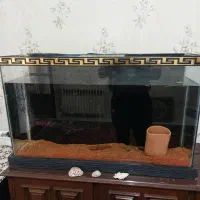 اکواریوم تمیز