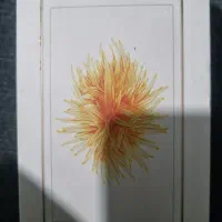 آیفون5s|موبایل|قرچک, فردیس|دیوار