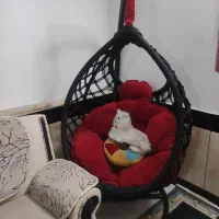 مبل کمد نوزاد|مبلمان خانگی و میز عسلی|تربت جام, شهید مدرس|دیوار