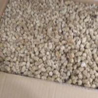 توت درجه یک