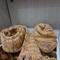 شال وکلاه