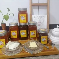 عسل کاملا طبیعی|خوردنی و آشامیدنی|شیراز, دشت چنار|دیوار